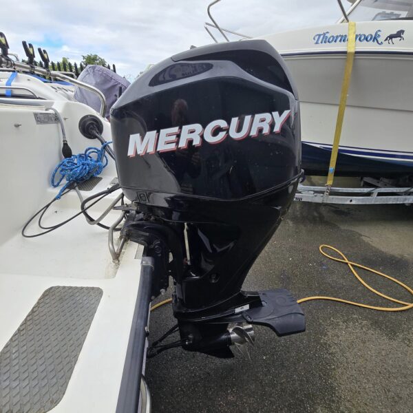 Predator 165 Sea Angler Fishing Boat 2011 with Mercury F60EFI